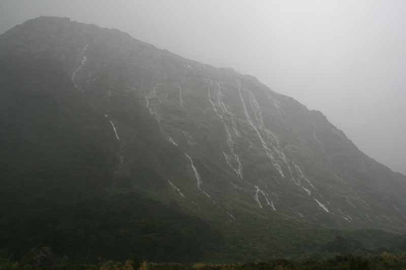 Nieuw-Zeeland 2011 - 1680